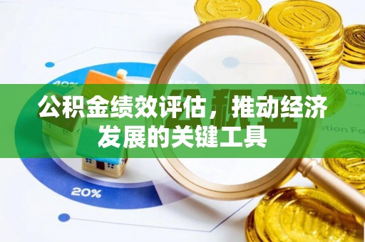 西林公积金绩效评估，推动经济发展的关键工具