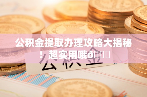 西林公积金提取办理攻略大揭秘！超实用哦😉