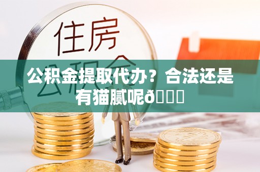 西林公积金提取代办？合法还是有猫腻呢😏