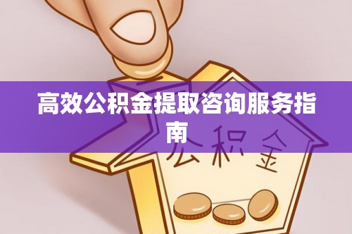 西林高效公积金提取咨询服务指南